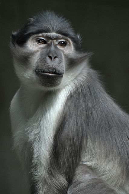 4ed2246219ca02b97569ec3be5a29aea