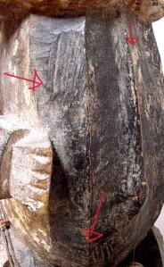 Partic. segni corpo e materia