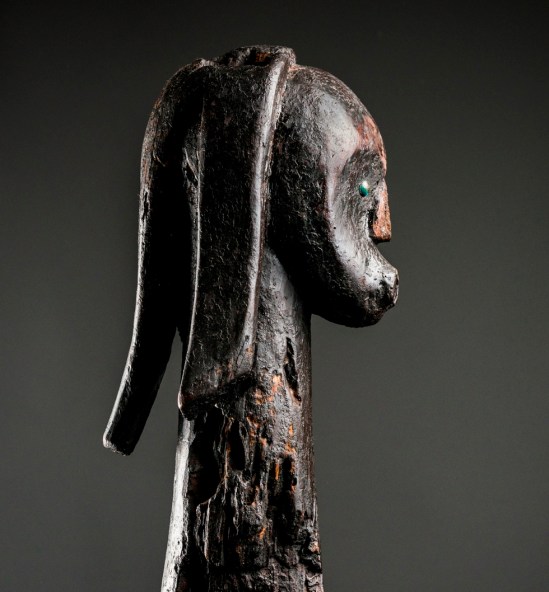 Fang testa  profilo jpg