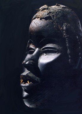 Dan profilo (Brill )