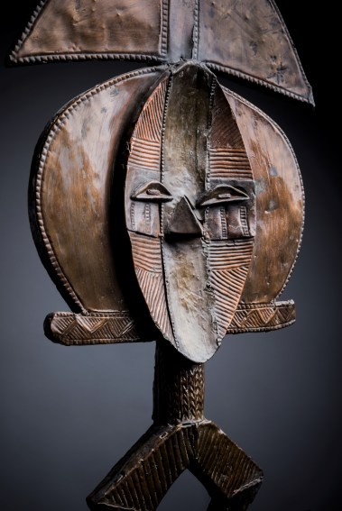 Kota particolare volto