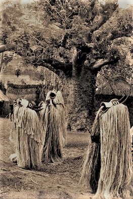 Mumuye, Vaa Bong masquerade, Pantisawa, Middle Benu Nigeria. Photograph by Arnold Rubin April 1970