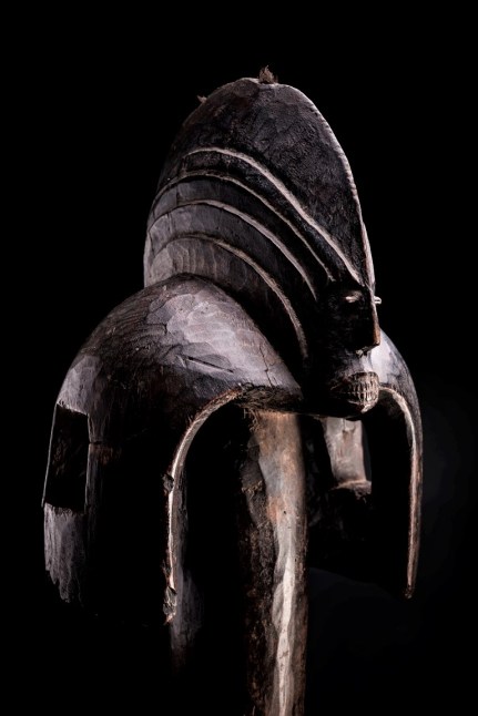 Mumuye ber mask vert. testa