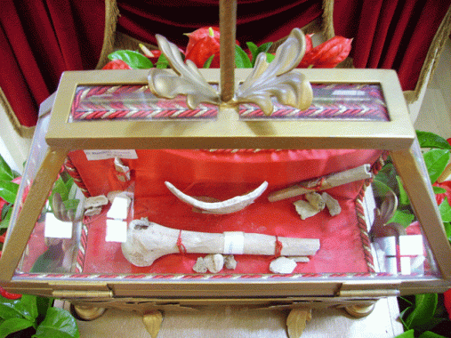 S.Trifone martire a Cerignola