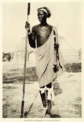 Shilluk Warrior of Sudan in full regalia, early 20th Cen, Photographer Unknown.
