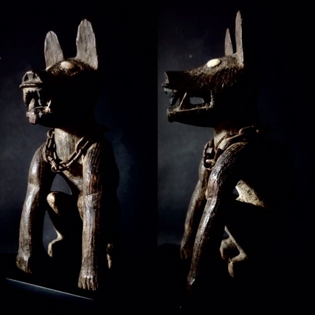 Kongo doppia immagine