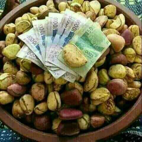 59d4f1cf-be36-40a5-a3e1-34825b45d41b